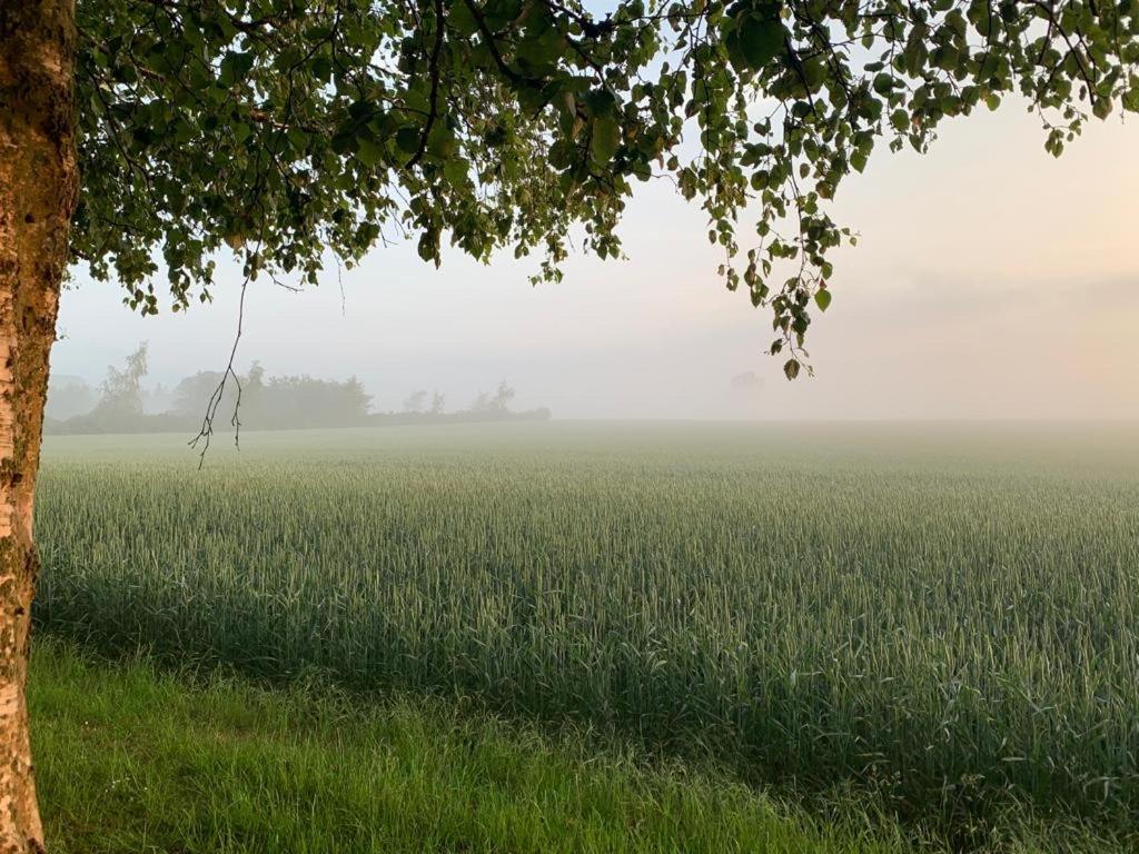 Romantic Luxus Glamping 3 Idestrup Kültér fotó