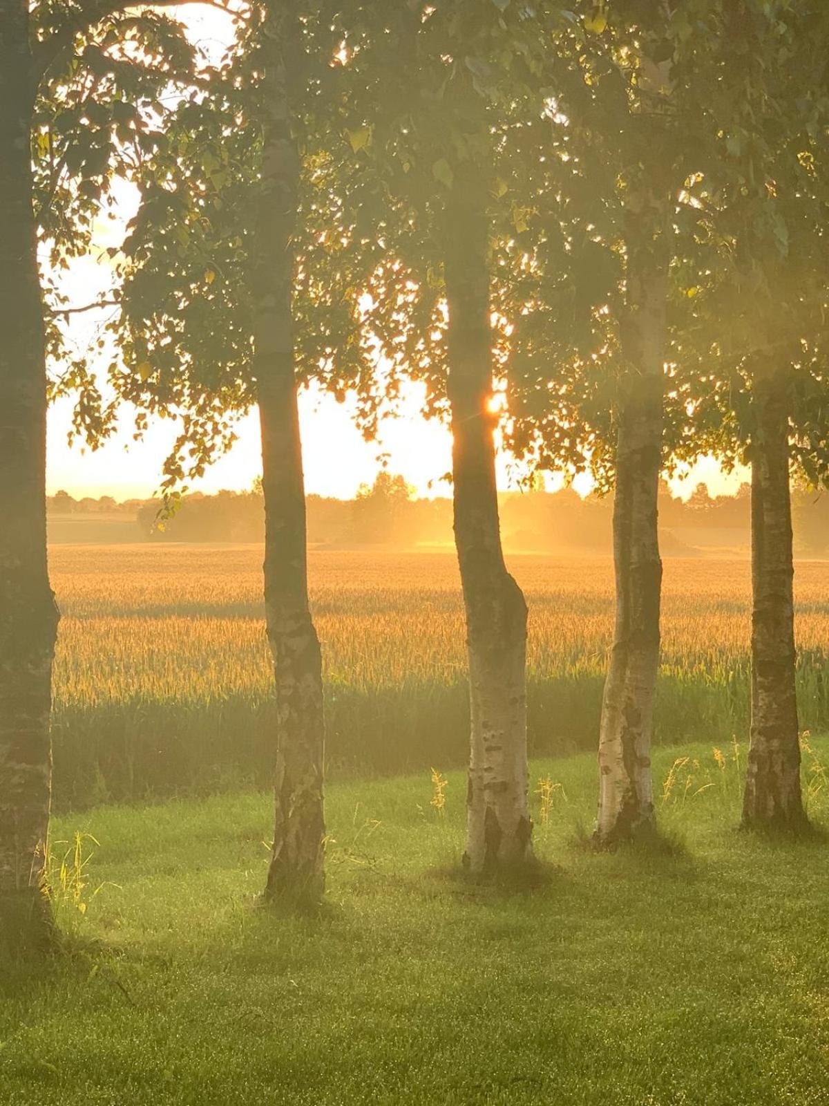 Romantic Luxus Glamping 3 Idestrup Kültér fotó